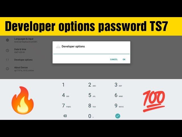 Developer options password of Android Car stereo TS7