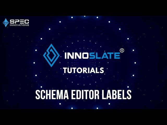 How to Use Schema Editor Labels