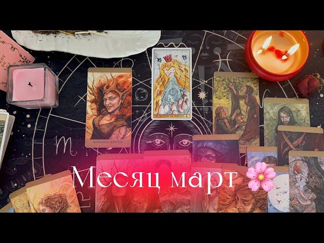 4 королевы  месяц март | любовь, учеба, деньги🩷