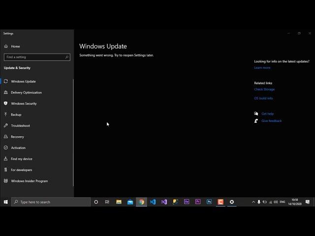 Windows 10 Update | Something went wrong try to reopen settings later