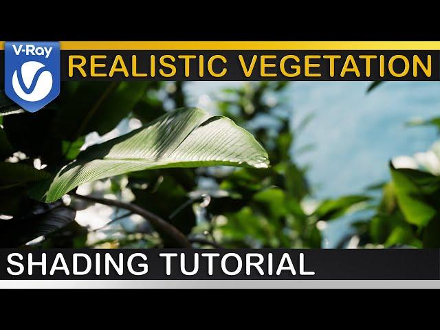 V-Ray | REALISTIC LEAVES + VEGETATION | Updated Translucency Workflow Explained