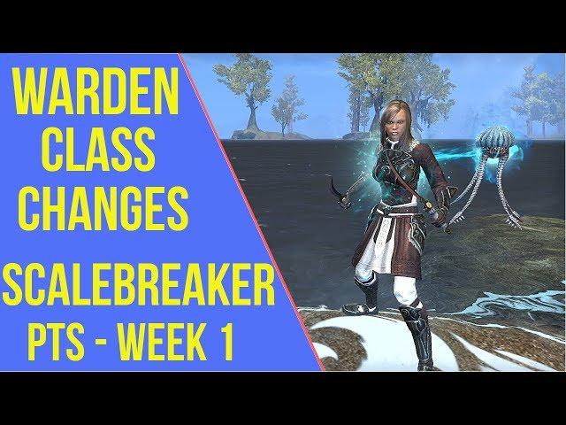 Warden Class Changes | ESO Scalebreaker PTS - Week 1