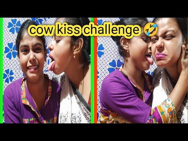 cow kiss   challenge with partnar//requested video//funny video  //cow kiss #pujavlogandfun 