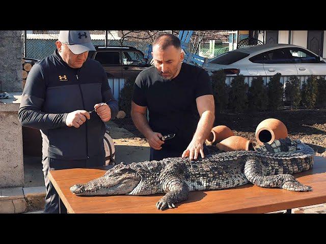 CROCODILE MEAT on a CHARCOAL GRILL, GRILLED CROCODILE MEAT.