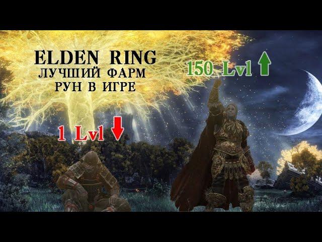 ELDEN RING лучший фарм рун в игре!