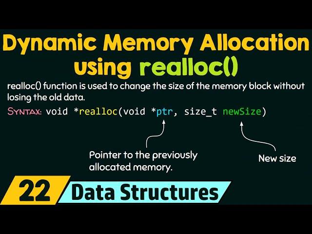 Dynamic Memory Allocation using realloc()
