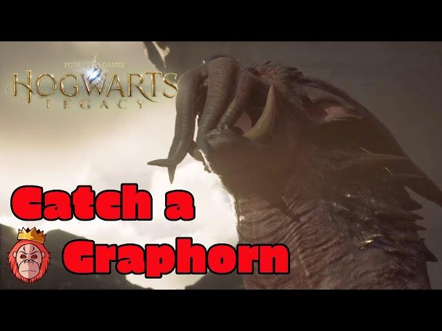 Hogwarts Legacy - How to Catch a Graphorn - Get a Land Mount - Rarest Beast - Lord of the Shore