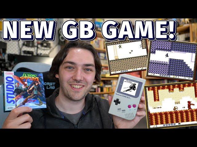 Flying Arrows - Game Boy Review [HOMEBREW]