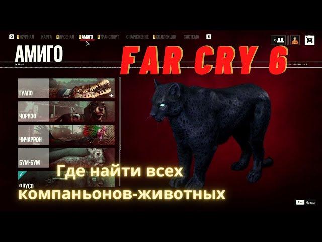 Где найти всех компаньонов-животных (Амиго) в Far Cry 6? Как получить пантеру Олусо.