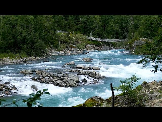 Turquoise Water, Blue Mountain Stream Flowing. Nature Sounds, Gentle River. White Noise for Sleeping