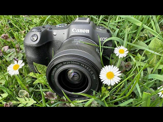 Canon EOS R8 Autofocus: Step-by-Step Guide for Perfect Focus