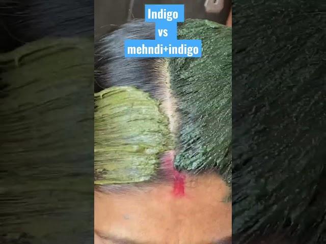 Indigo powder vs mehndi and indigo powder #youtubeshorts