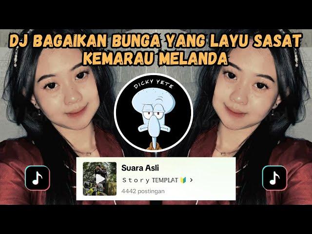 DJ BAGAIKAN BUNGA YANG LAYU SASAT KEMARAU MELANDA | DJ MULTI ELECTRO LURUH CINTAKU VIRAL TIKTOK 2024