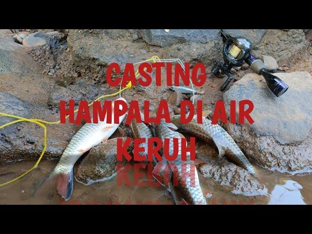 casting hampala di air keruh spot ciliwung gacor habis..