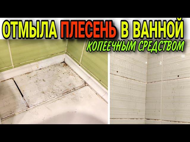 Как убрать плесень со стен в ванной простой способ хозяйкам на заметку