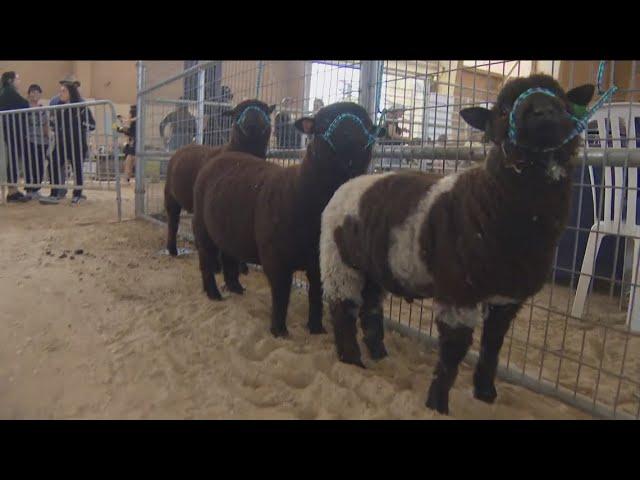 Inside the first day of the San Diego County Fair