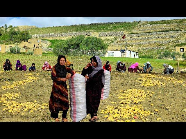 lifestyles in Afghanistan Villages | Contribution of Afghan girls in daily work