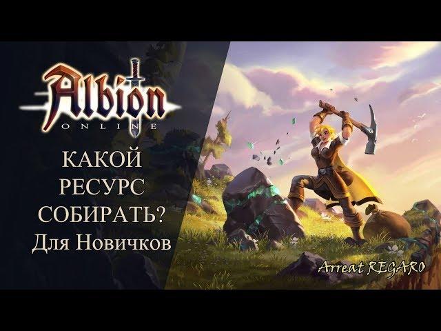 Albion online : Какой ресурс собирать ? Для новичков