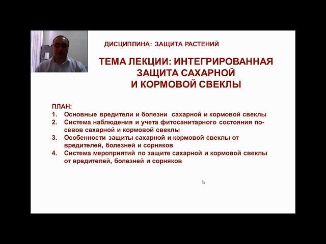 Интегрированная система защиты сахарной свеклы ЗАЩИТА РАСТЕНИЙ 3 курс Агрономия