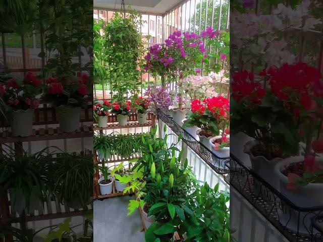 Gardening ideas for home #gardeningideasforhome #gardening #garden #wintergarden #asmr