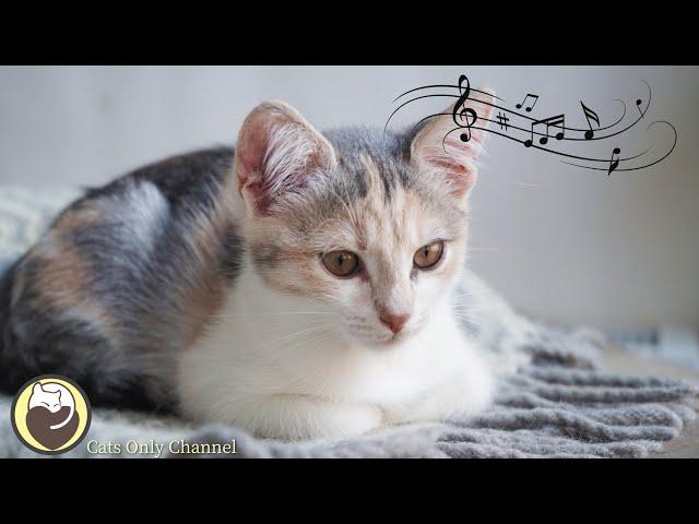 Cat Music for Deep Relaxation - Help Cats Sleep and Relax