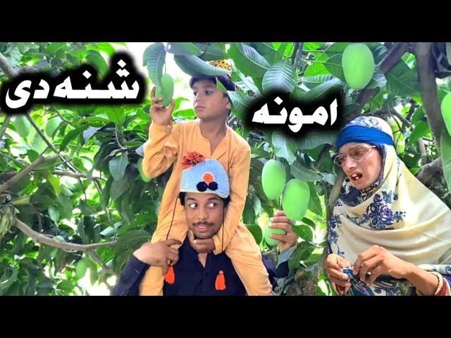 Amona Shana De Pashto New Funny Video 2023 by Tuti Gul Official