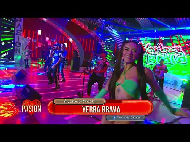 Yerba Brava en vivo en Pasión de Sábado 25 03 2023 Parte 1