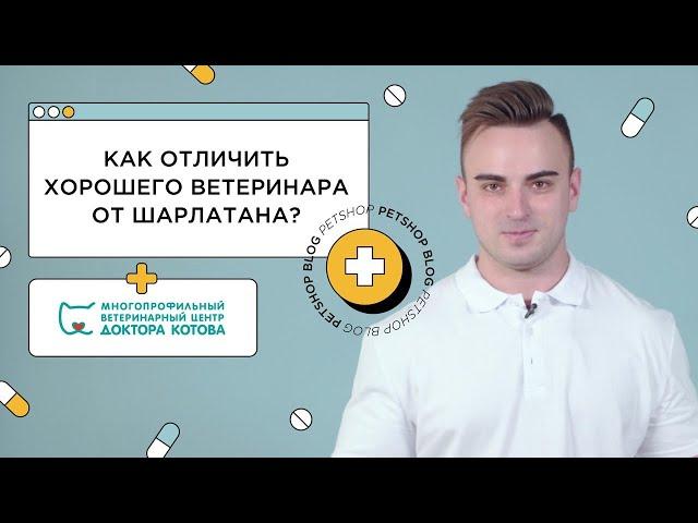 КАК ОТЛИЧИТЬ ХОРОШЕГО ВЕТЕРИНАРА ОТ ШАРЛАТАНА? ПОЧЕМУ ГОМЕОПАТИЯ НЕ РАБОТАЕТ?