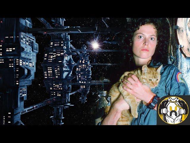 What Happened to Jonesy After Gateway Station in Aliens? - Explained