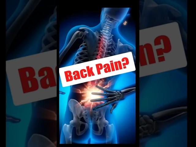 Lower Back Pain Exercises Part 1