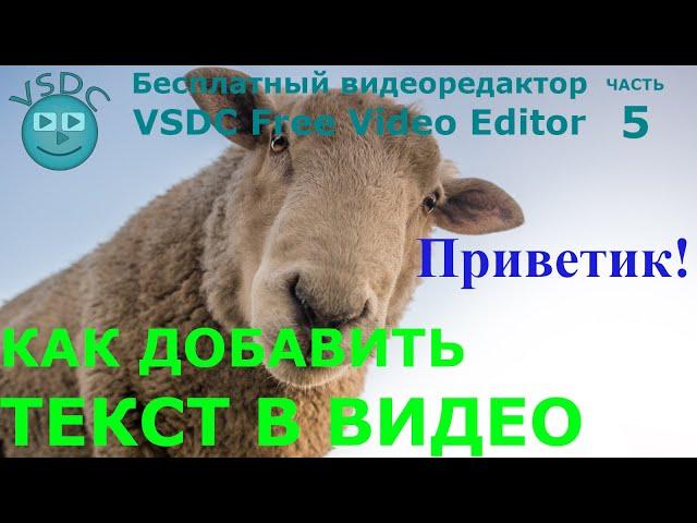 Как добавить текст в видео. Бесплатный видеоредактор VSDC Free Video Editor