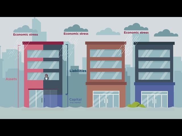 What is capital adequacy?