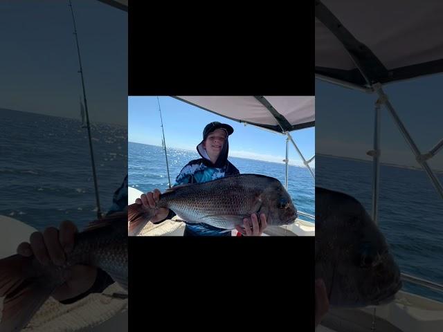 Fishing#fishing #pinky #snapper#wa#australia #kidsfishing #wafishing