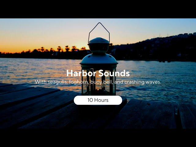 Harbor Sounds with Seagulls Foghorn Buoy Bell Crashing Waves | 10 Hours