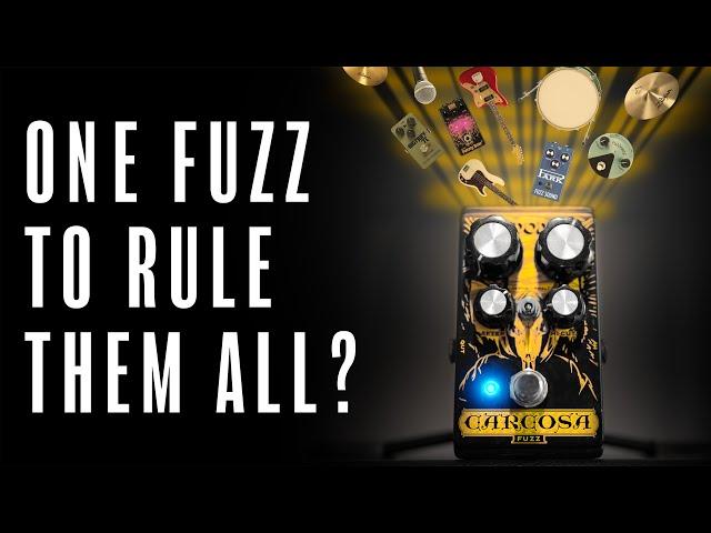Is this the fuzz to buy? DOD Carcosa: review and comparison AND FULL SONG!
