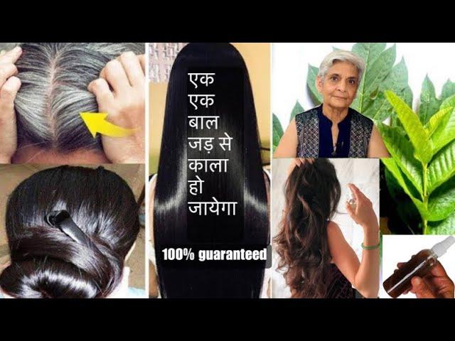 एक एक बाल जड़ से काला हो जायेगा 100% guaranteed with this homemade natural hair colour