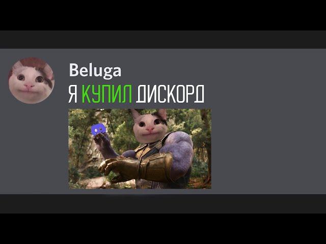 Белуга купил Дискорд...[ru voiced]