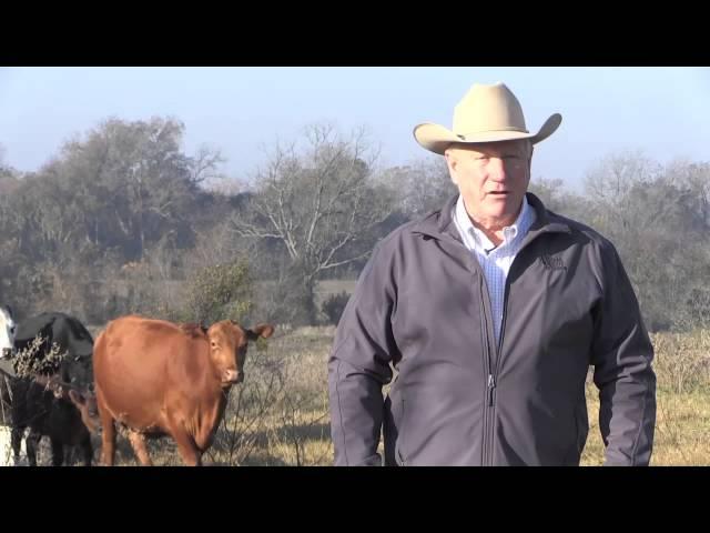 Ron Gill - Farm & Ranch Stories - Beef's Story - Beef Cattle Raised in Texas