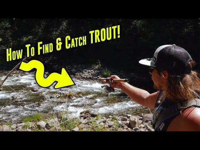 How To Catch TROUT In Creeks, Rivers, Or Streams. | Trout Fishing Tips For SUCCESS!