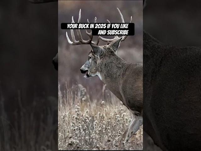 Your buck in 2025 if you #deer