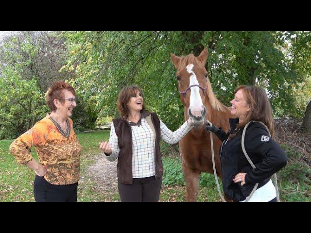 The Psychic Jackies Visits 'straight from the horses mouth' Episode 1