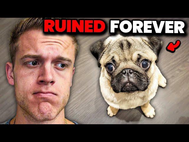 How We Ruined Dog Breeds (RANT 2)