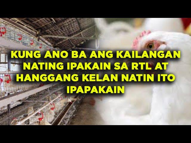 ANO NGA BA ANG DAPAT IPAKAIN AT KUNG HANGGANG KAILAN PAKAKAININ ANG ATING MGA RTL