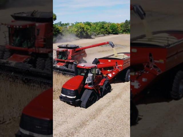 2x Case IH 9120 Combine #short #viral #grow #caseih #tractor #combine