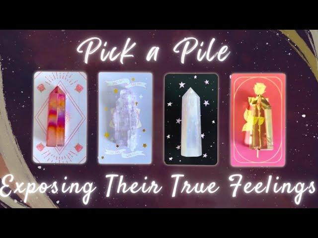 The Truth of Their Feelings for You Pick a Card In-Depth Timeless Love Tarot Reading