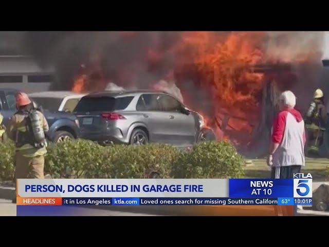 La Habra house fire leaves homeowner, 2 dogs dead