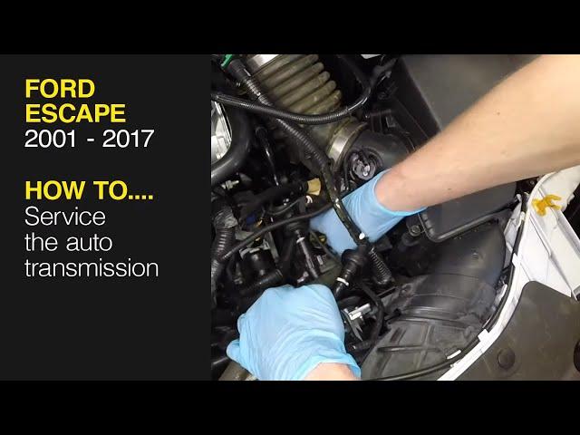 How to Service the auto transmission on the Ford Escape 2001 - 2017