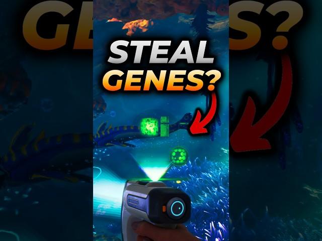 In Subnautica 2 You Can STEAL GENES?! | Subnautica 2 Content