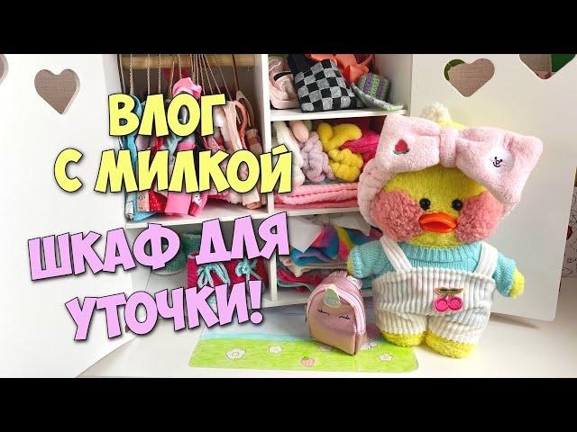 Обустраиваем новый шкаф Уточки Милки! Идеи для уточек Lalafanfan!