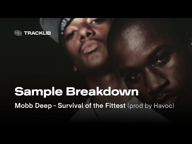 Sample Breakdown: Mobb Deep - Survival of the Fittest